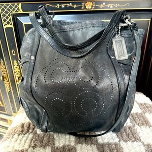 This Coach Audrey Andie Tote